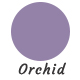Orchid